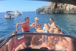 From Kotor: All day tour to Blue Cave and 13 destinations