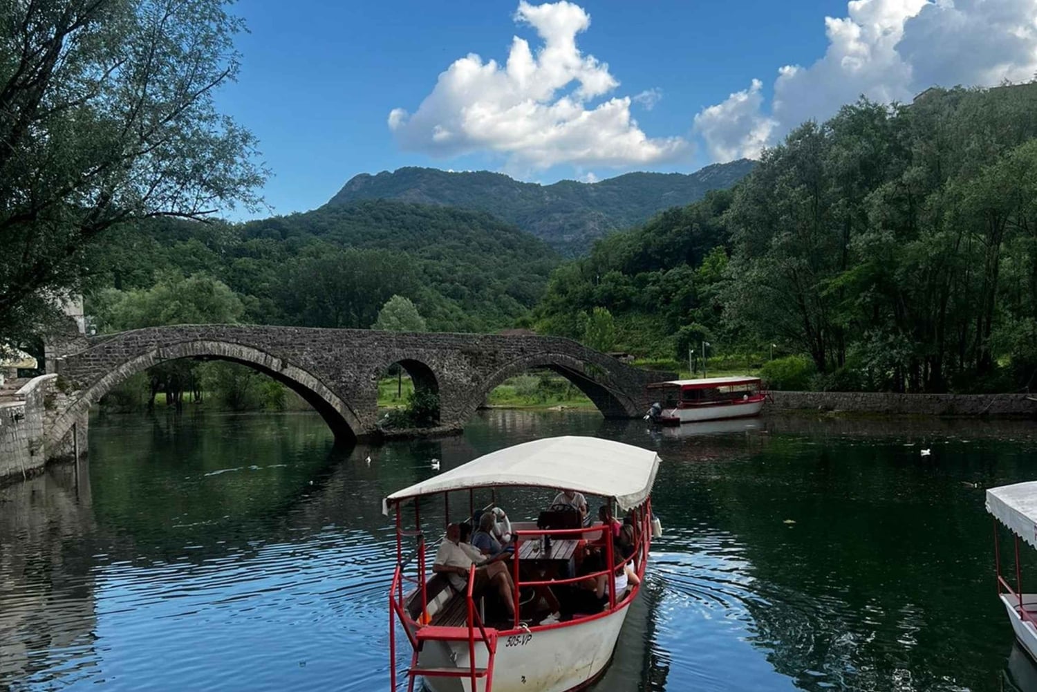 From Kotor, Budva, Tivat: Skadar Lake Boat Tour & Wine