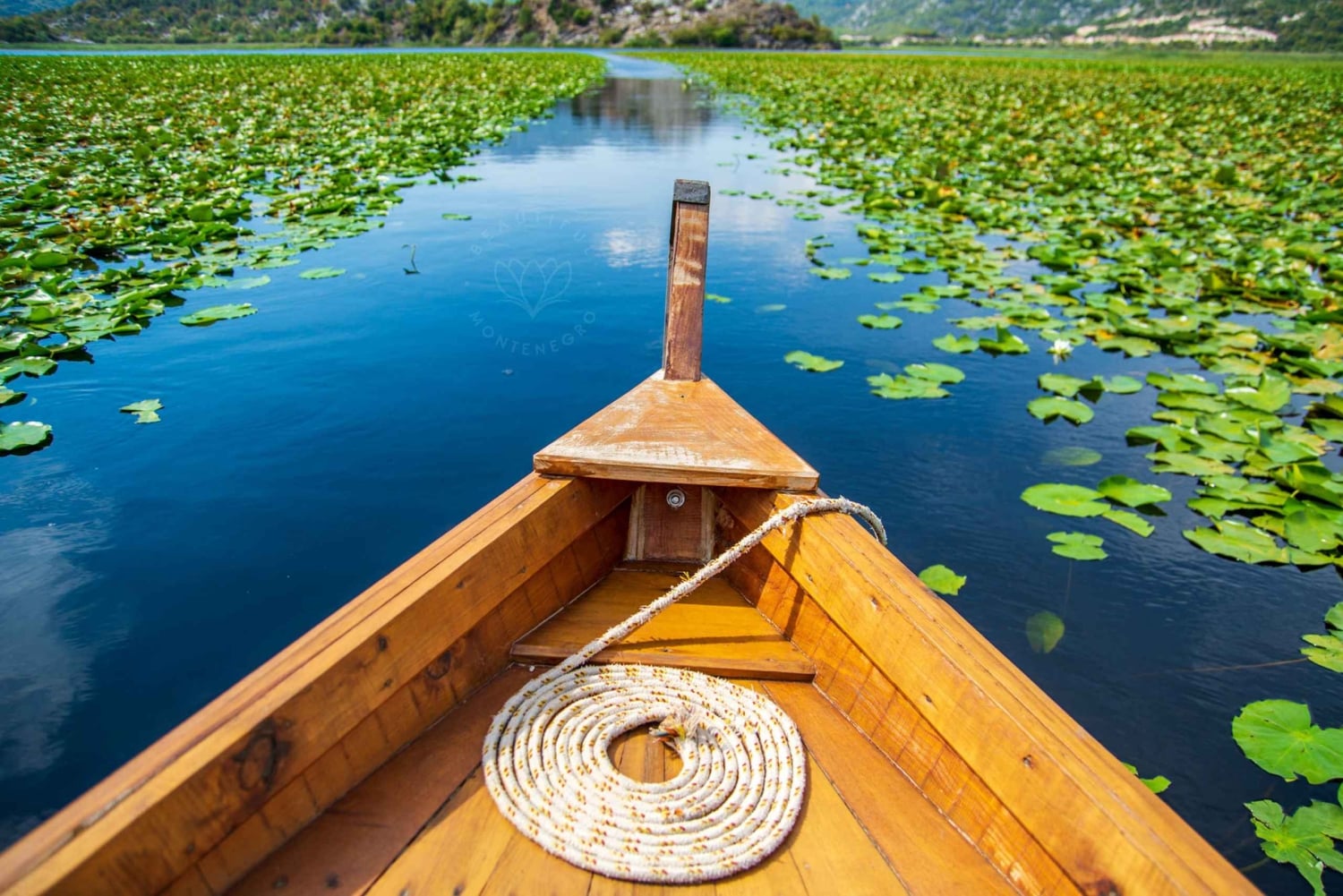 From Kotor, Budva, Tivat: Skadar Lake Boat Tour & Wine