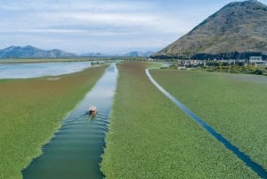 From Kotor, Budva, Tivat: Skadar Lake Boat Tour & Wine