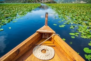 From Kotor, Budva, Tivat: Skadar Lake Boat Tour & Wine