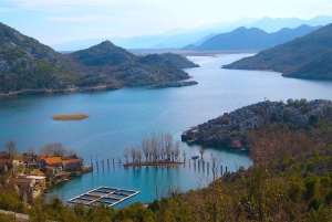 From Kotor, Budva, Tivat: Skadar Lake Boat Tour & Wine