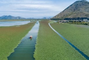 From Kotor, Budva, Tivat: Skadar Lake Boat Tour & Wine