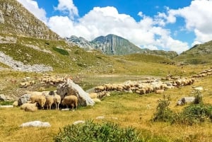 From Kotor: Hiking Day Trip in Durmitor Massif & Dining