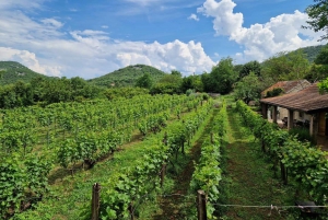 From Kotor: Lake Skadar Wine and Culinary Tour