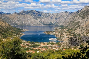 Luxury Private Day Trip to Perast & Njegusi Village