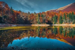 From Kotor: Skadar Lake and Biogradska Gora Day Tour