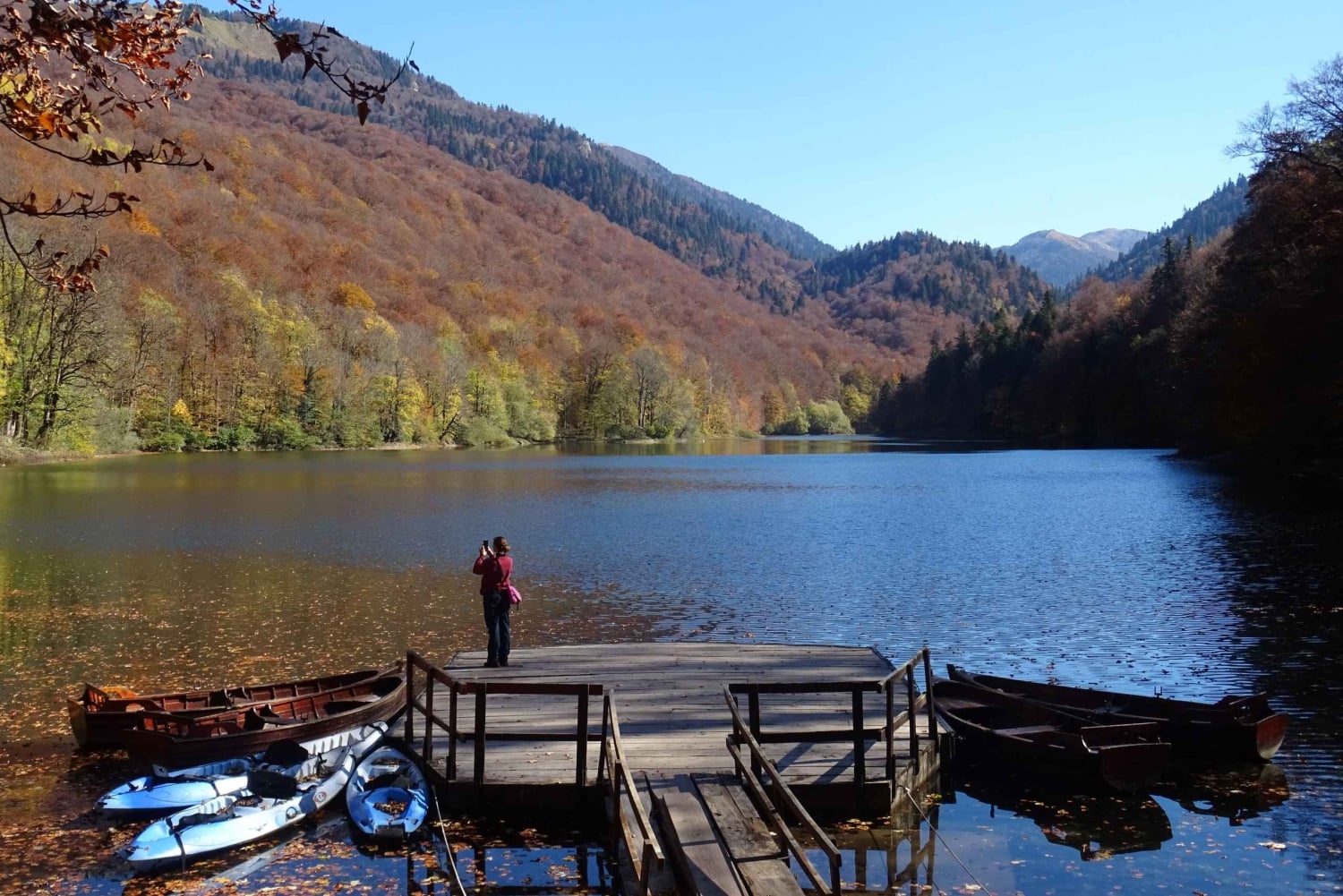 From Podgorica: Biogradska Gora NP & Moraca monastery&Canyon