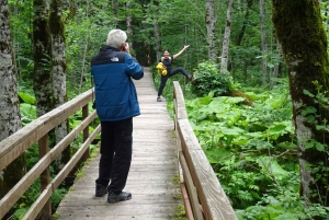 From Podgorica: Biogradska Gora NP & Moraca monastery&Canyon