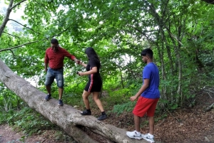 From Podgorica: Biogradska Gora NP & Moraca monastery&Canyon