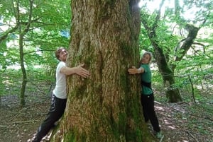 From Podgorica: Biogradska Gora NP & Moraca monastery&Canyon