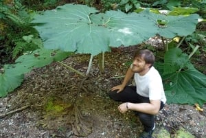 From Podgorica: Biogradska Gora NP & Moraca monastery&Canyon