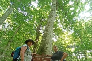 From Podgorica: Biogradska Gora NP & Moraca monastery&Canyon