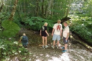 From Podgorica: Biogradska Gora NP & Moraca monastery&Canyon