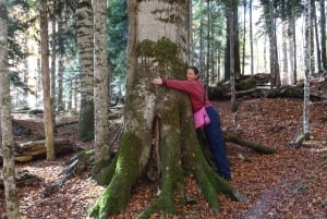 From Podgorica: Biogradska Gora NP & Moraca monastery&Canyon
