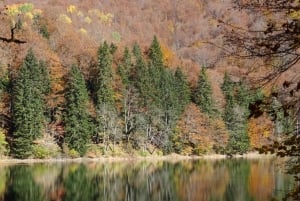 From Podgorica: Biogradska Gora NP & Moraca monastery&Canyon