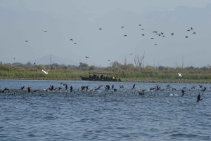 From Podgorica: Rivers, Vilagges, Skadar lake NP & Old Bar
