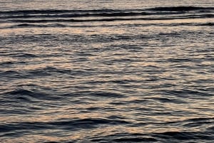 From Tirana: 4-Day Albania and Montenegro Tour