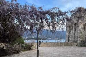 From Tirana: 4-Day Albania and Montenegro Tour