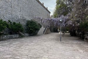 From Tirana: 4-Day Albania and Montenegro Tour