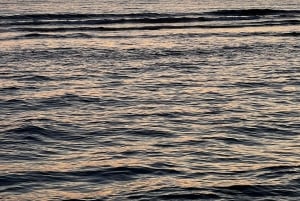 From Tirana: 4-Day Albania and Montenegro Tour