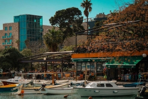 From Tirana: Bosnia, Montenegro & Albania 4-Day Guided Tour