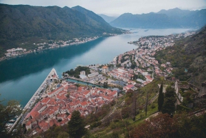 From Tirana, Day Tour: Budva & Kotor