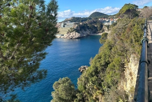 From Tirana/Durres: Montenegro Coast and Dubrovnik Day Trip