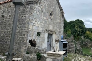 Day tour :UNESCO City of Berat & Traditional Lunch