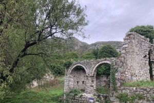 Day tour :UNESCO City of Berat & Traditional Lunch