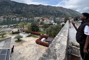 From Tirana to Montenegro: Kotor and Budva, Day tour