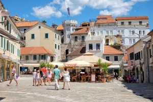 From Tivat: Boka bay with Polish guide