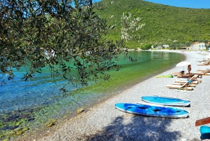From Tivat: Boka bay with Polish guide