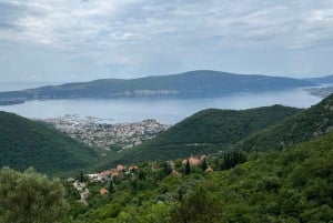 From Tivat: Vrmac Hill Scenic Hike above Boka Bay