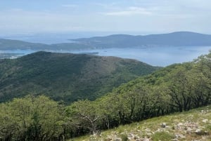 From Tivat: Vrmac Hill Scenic Hike above Boka Bay