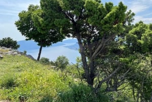From Tivat: Vrmac Hill Scenic Hike above Boka Bay