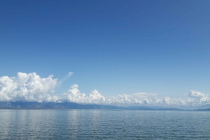 From Virpazar: Skadar Lake Scenic Cruise