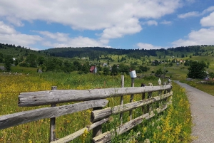 From Žabljak: Durmitor National Park Private Hiking Tour