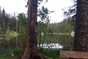 From Žabljak: Durmitor National Park Private Hiking Tour