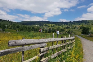 From Žabljak: Durmitor National Park Private Hiking Tour