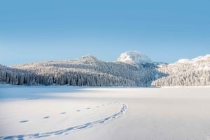 From Žabljak: Durmitor National Park Private Hiking Tour