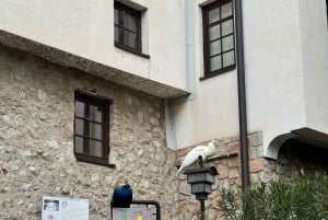 Full Day tour of Ohrid N Macedonia and St. Naum from Tirana