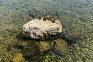 Full Day tour of Ohrid N Macedonia and St. Naum from Tirana