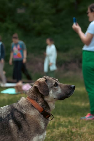 GEA Retreat Montenegro 