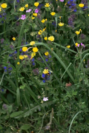 GEA Retreat Montenegro 