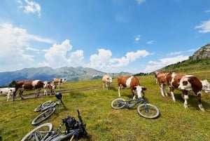'Gjakova: 7 Day MTB Tour with tasting Epic Trails