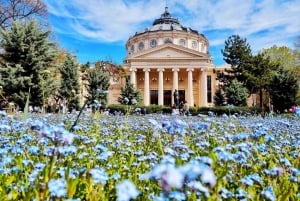 Grand Balkan Christmas Tour: 12-Day From Bucharest, Romania