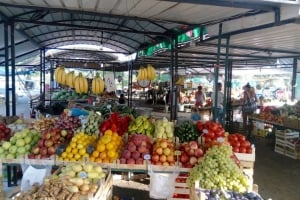 Local & Green Markets in Montenegro