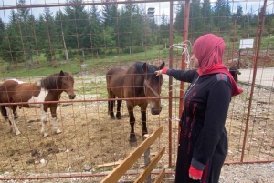 Montenegro Black Lake-Durmitor, Tara (kanyon ,river, bridge)
