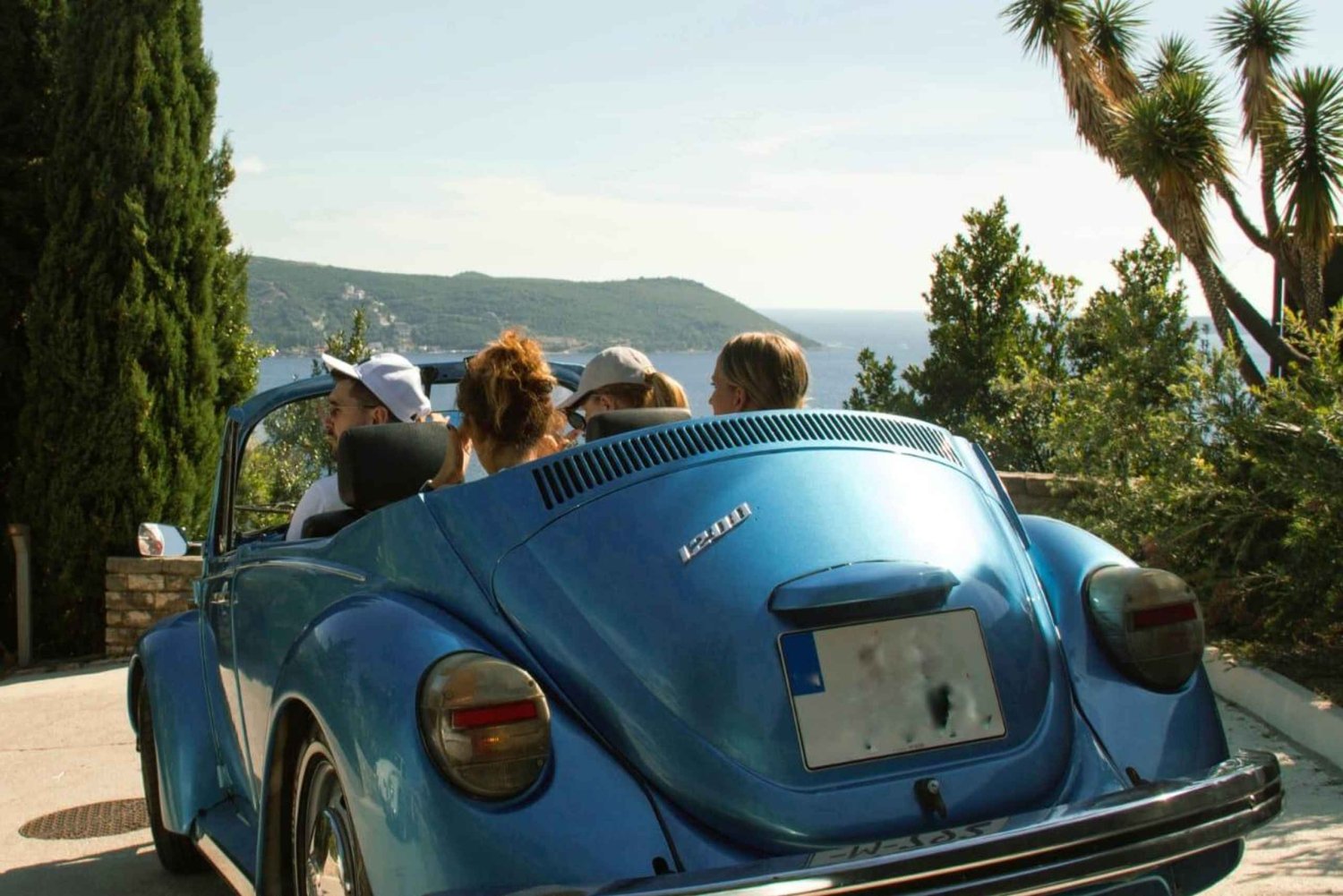 Herceg Novi: Old Timer Tour & Wine Tasting Charms